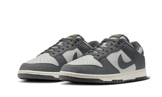 Nike Dunk Low Next Nature Iron Grey Lightning - FZ4621-001