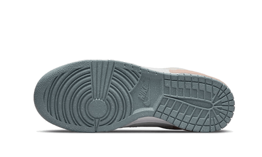 dunk-low-disrupt-2-multi-color-sneakee-store