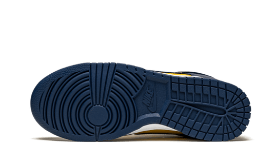 dunk-low-michigan-sneakee-store