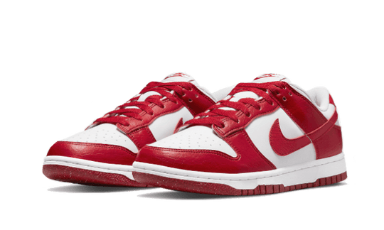 dunk-low-next-nature-gym-red-sneakee-store