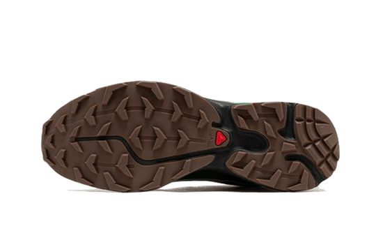 advanced-xt-6-gore-tex-eden-green-ash-sneakee-store