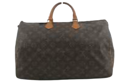 Louis Vuitton Speedy