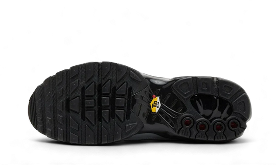 Nike Air Max Plus Tiempo Wolf Grey - HM6850-001