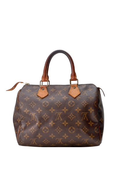 Louis Vuitton Speedy