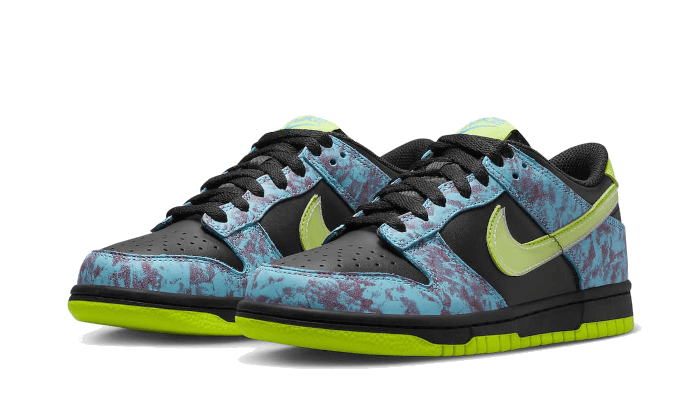 dunk-low-acid-wash-sneakee-store