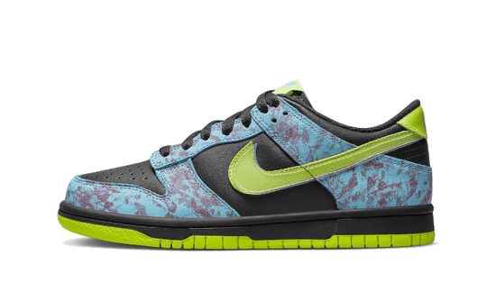 dunk-low-acid-wash-sneakee-store