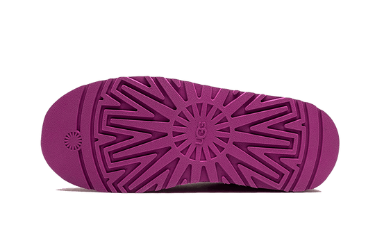 UGG Tazz Slipper Mangosteen - 1122553-MGS