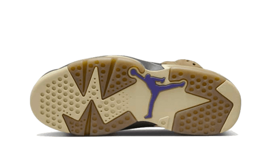 air-jordan-6-retro-gore-tex-brown-kelp-sneakee-store