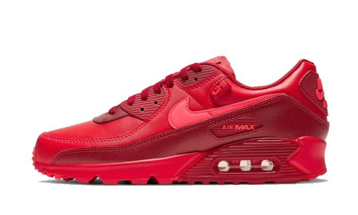 air-max-90-chi-city-special-sneakee-store