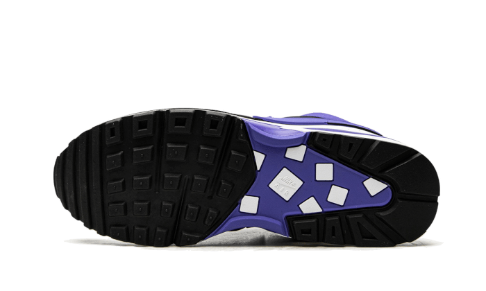 air-max-bw-persian-violet-sneakee-store