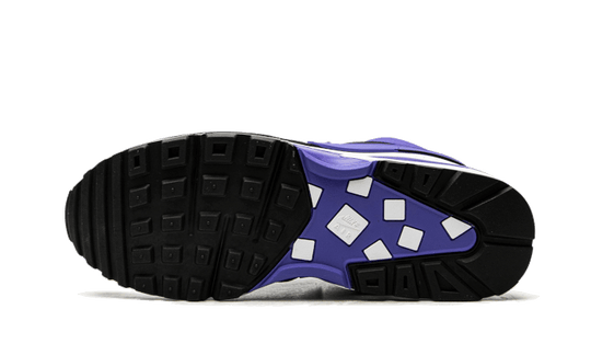 air-max-bw-persian-violet-sneakee-store