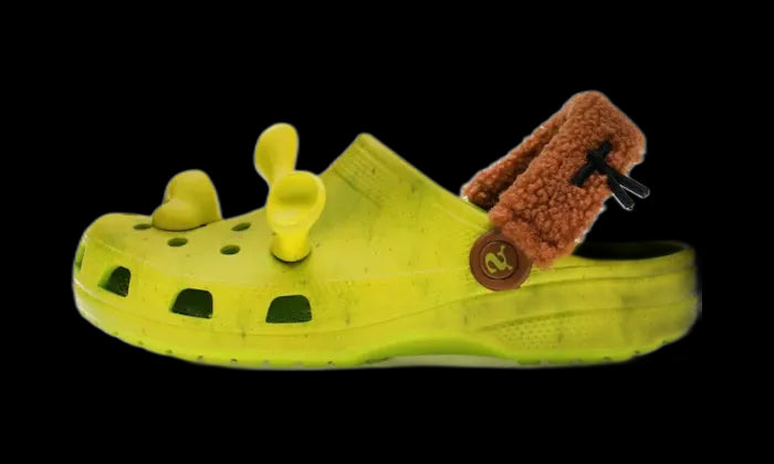 classic-clog-dreamworks-shrek-runstock