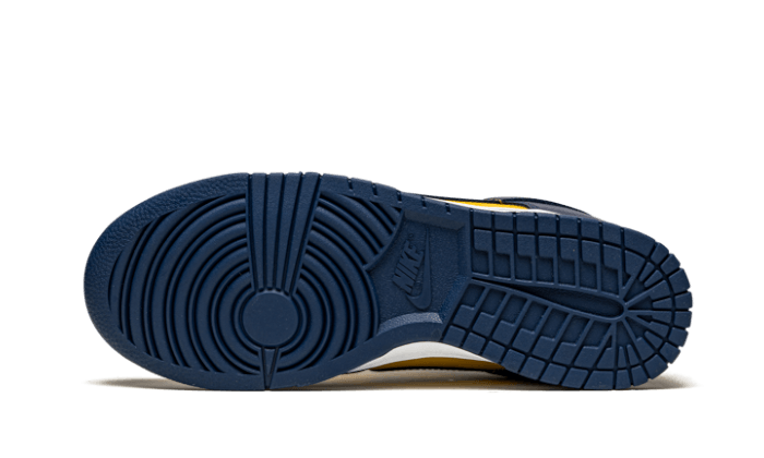 dunk-low-michigan-sneakee-store