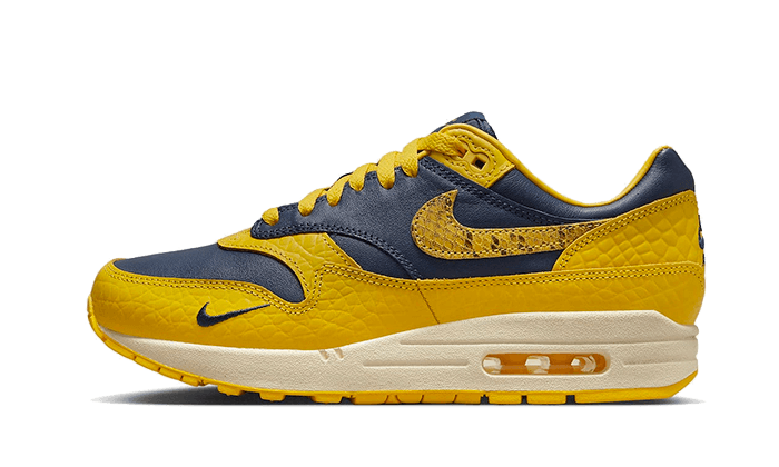 air-max-1-cojp-michigan-sneakee-store