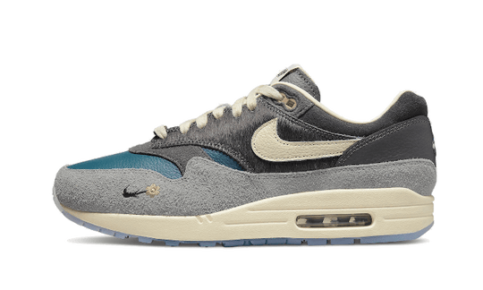 air-max-1-kasina-won-ang-grey-sneakee-store