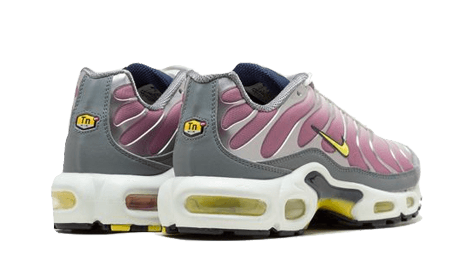 air-max-plus-violet-dust-sneakee-store