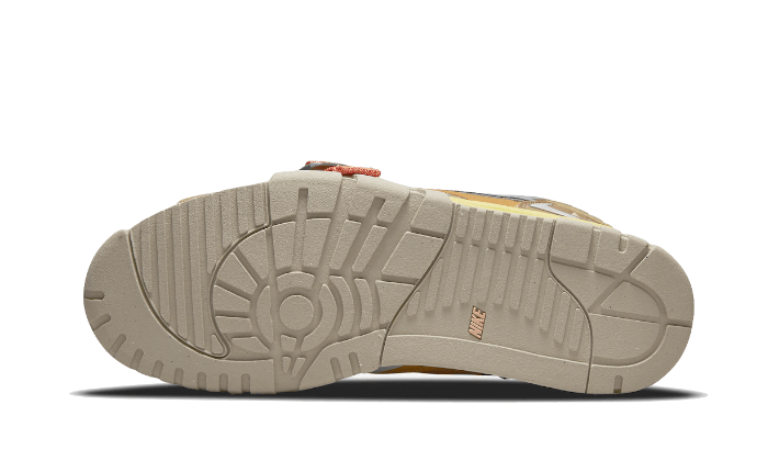 air-trainer-1-sp-coriander-sneakee-store