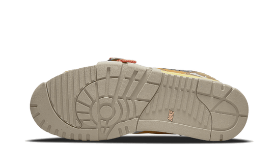 air-trainer-1-sp-coriander-sneakee-store
