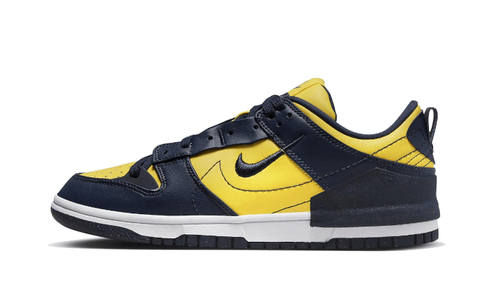 dunk-low-disrupt-2-michigan-runstock