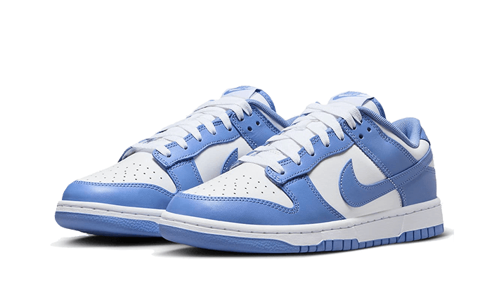 dunk-low-polar-blue-runstock