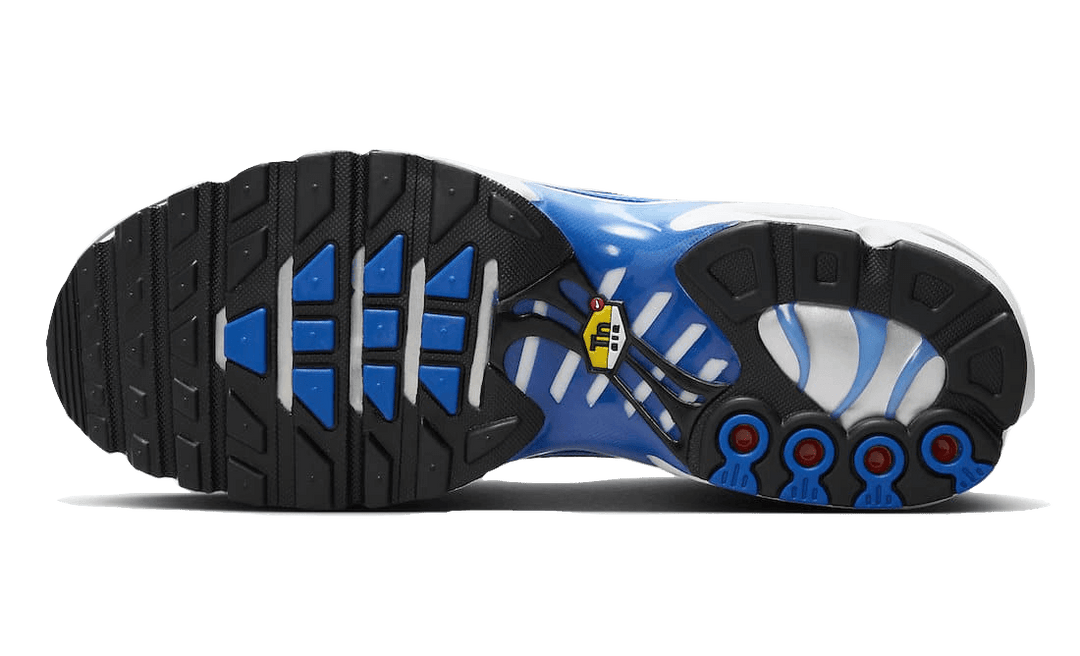 air-max-plus-light-photography-old-royal-sneakee-store