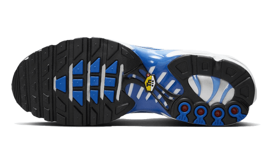 air-max-plus-light-photography-old-royal-sneakee-store